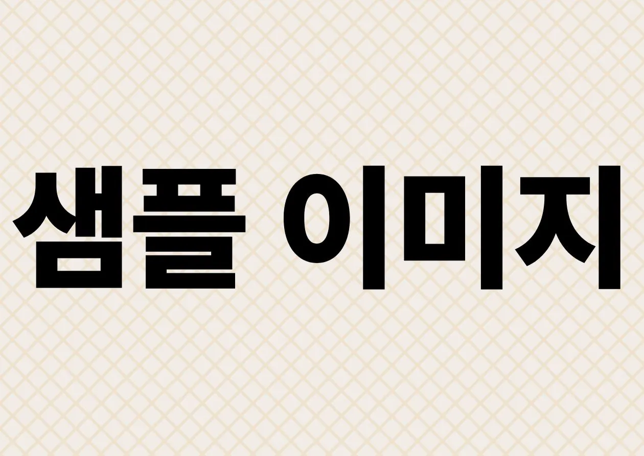 수정사항 1 SAMPLE IMAGE